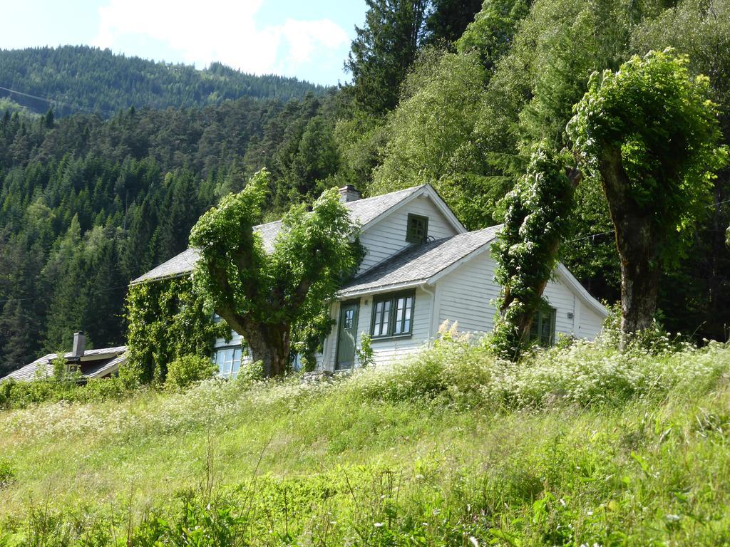 Rongen Gard Vila Bolstadøyri Exterior foto