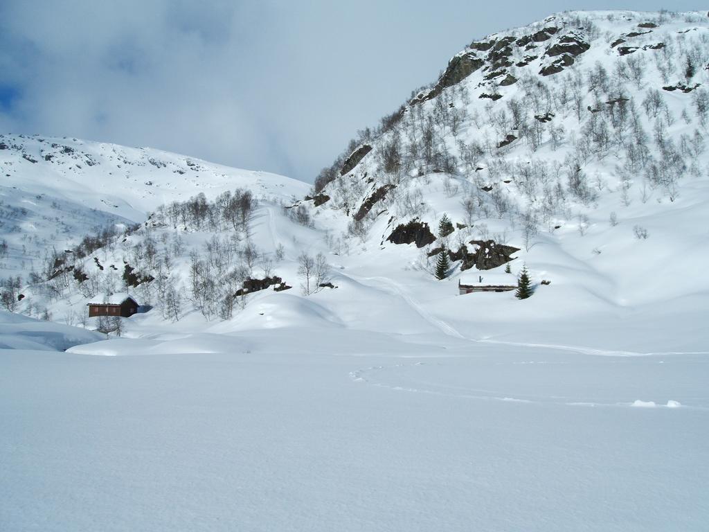 Rongen Gard Vila Bolstadøyri Exterior foto